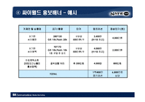 [마케팅] [마케팅]싸이월드 미니홈피 광고제안(A+리포트)-18