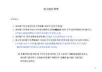 [마케팅] [경영전략]싸이월드의 성공요인 분석과 추가성장을 위한 제언(A+리포트)-2