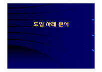 [경영정보시스템] 기업의 ERP구축방안 및 성공사례(A+리포트)-2