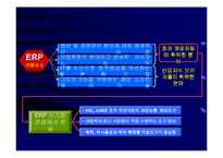 [경영정보시스템] 기업의 ERP구축방안 및 성공사례(A+리포트)-19