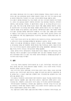 [디즈니랜드] 디즈니랜드에 관한 고찰-5