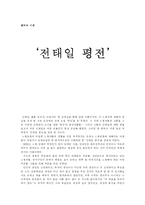 [평전] 전태일평전-1