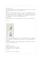 [국제경영학] [국제경영학]렉서스의 한국시장진출 성공 마케팅 전략(A+리포트)-14