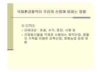 [환경관리] 무역과 환경의 연계-13