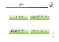 [마케팅] 처음처럼 성공요인 완벽 분석-11