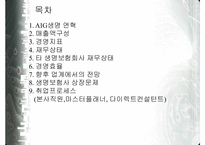 [보험마케팅] AIG 생명보험사 연구-2