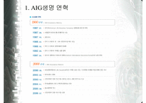 [보험마케팅] AIG 생명보험사 연구-3