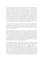 [정치학] 박정희에 대한 진정한 평가-7
