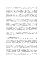 [관광경영] 해양관광 활성화와 제주도 해저관광-3