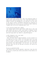 [관광경영] 해양관광 활성화와 제주도 해저관광-12