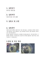 [일반화학] 아보가드로수-1
