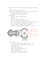 [건축사] 바로크 건축-5