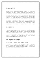 [국제경영전략] 롤리타렘피카에 대해서-10