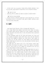 [국제경영전략] 롤리타렘피카에 대해서-12