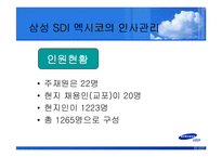 [국제경영] 삼성전자 인사관리전략-13