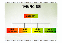 마케팅활동 레포트-13