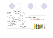 [소비자행동] 음료시장의 새로운 패러다임 차 음료의 성공전략과 대표적 사례-20