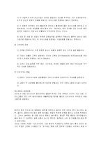 [국제경영전략] 코린도의 인도네이시아 진출 사례-5