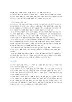 [국제경영전략] 코린도의 인도네이시아 진출 사례-17