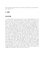 [국제마케팅] 진로 중국시장에 대한 진출방법 및 유통전략-19