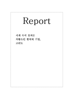 [국제경영전략] 코린도에 대한 기업분석-1