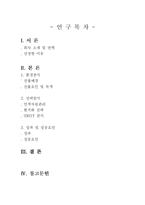 [국제경영전략] 코린도에 대한 기업분석-2