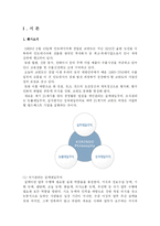 [국제경영전략] 코린도에 대한 기업분석-3
