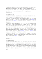 [국제경영전략] 코린도에 대한 기업분석-6