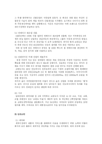 [국제경영전략] 코린도에 대한 기업분석-10