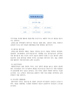 [국제경영전략] 코린도에 대한 기업분석-11