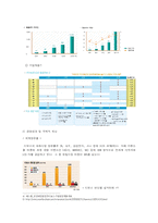 [국제경영전략] LCD TV 제조업체인 디보스의 유럽진출사례에 대해-5