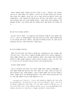 [국제경영전략] LCD TV 제조업체인 디보스의 유럽진출사례에 대해-12