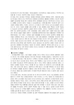 [국제경영전략] 아모레퍼시픽 프랑스진출전략-6