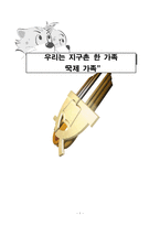 국제가족 문제점의 해결방안-1