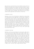해외시장 진출을 위한 전략적 선택 인도네시아에서의 해외직접투자(FDI) 사례 분석-2
