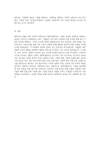 해외시장 진출의 전략적 선택 해외직접투자(FDI)를 통한 기업 사례 분석-4
