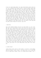 해외에서의 한국 드라마 인기 비결 및 한류의 긍정적·부정적 측면 분석-2