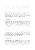 인터넷 주소 체계의 발전 IPv4와 IPv6의 비교 분석-2