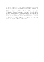 인터넷 환경에서의 언어 생성 기제 통신 언어의 새로운 패러다임 탐구-3