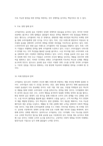 코카콜라의 성공 비결과 미래 전략 글로벌 음료 시장의 선두주자 분석-5