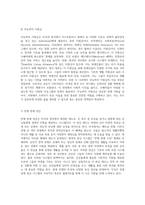 외국의 공공지원 시스템 미국과 영국의 다양한 부조 형태 탐구-7