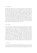 외국의 공공지원 시스템 미국과 영국의 다양한 부조 형태 탐구-8
