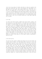 외국의 공공지원 시스템 미국과 영국의 다양한 부조 형태 탐구-11