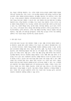 쏘카의 비즈니스 전략을 파헤치다 비즈니스 모델 캔버스를 통한 심층 분석-3