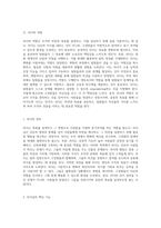 리더십과 관리의 이론적 경계 리더와 관리자의 본질적 차이점 탐구-2