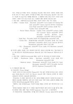 [계획서] 유럽여행계획서-3