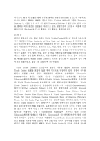 [행정학] 지방재정확충을 위한 지방자치단체의 세외수입 증대방안-10