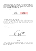 [마케팅(광고론)] 타이레놀 마케팅 계획(광고전략)-7