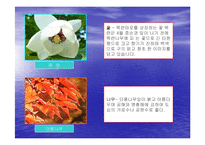 [도시행정론] 마포구도시행정론-10