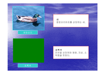[도시행정론] 마포구도시행정론-11